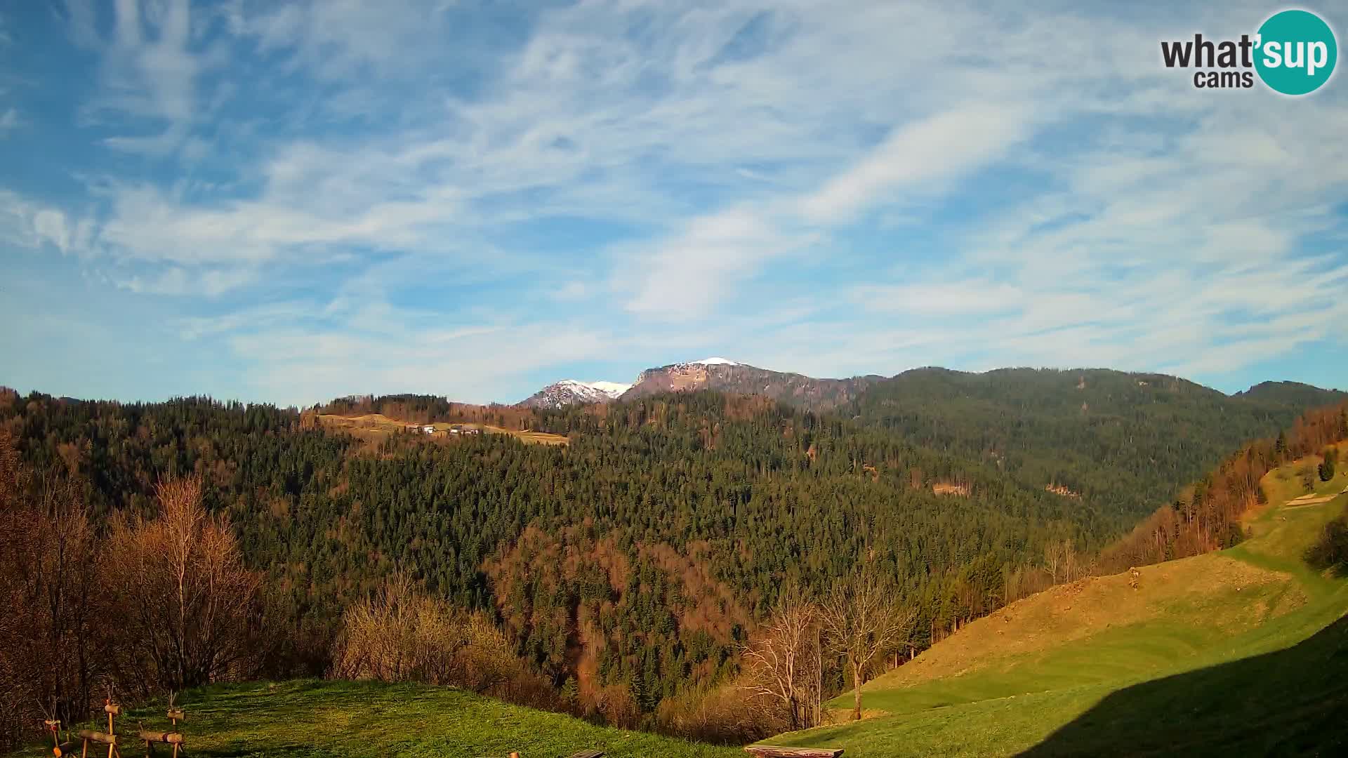 Webcam Brunarica Dražgoše – Live View of Ratitovec (1666 m)