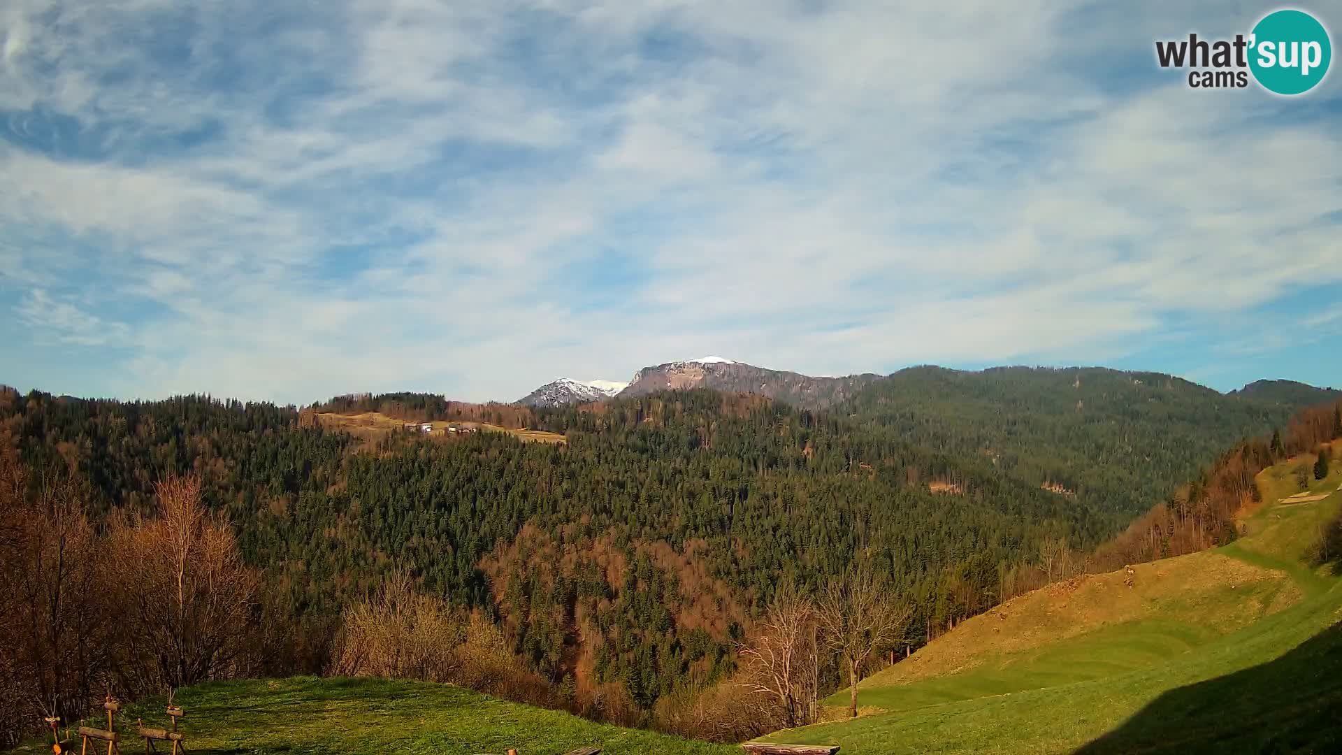 Webcam Brunarica Dražgoše – Live View of Ratitovec (1666 m)