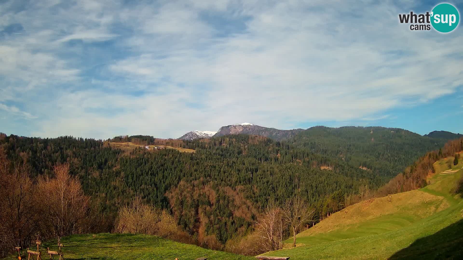 Webcam Brunarica Dražgoše – Live View of Ratitovec (1666 m)