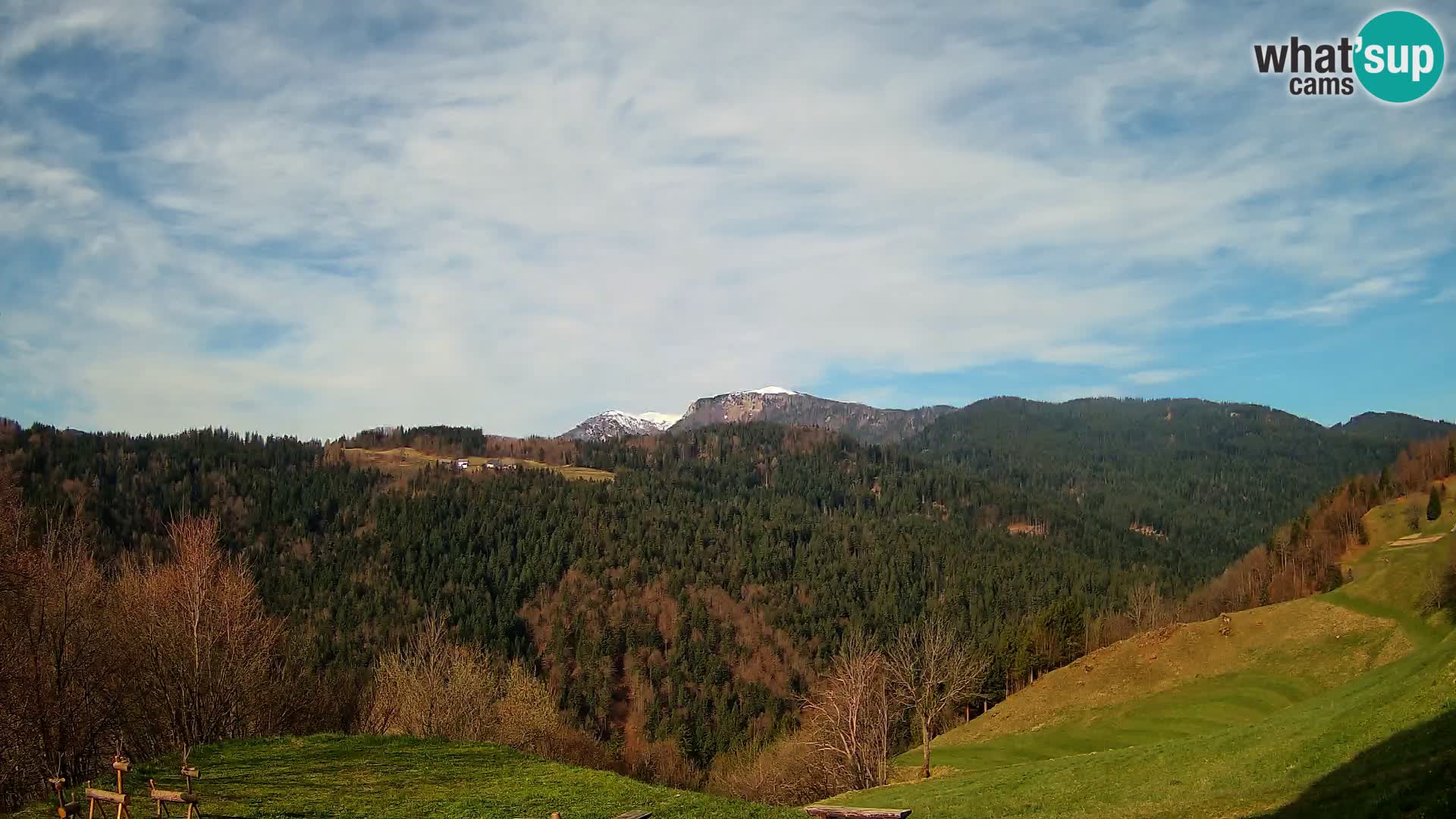 Webcam Brunarica Dražgoše – Live View of Ratitovec (1666 m)