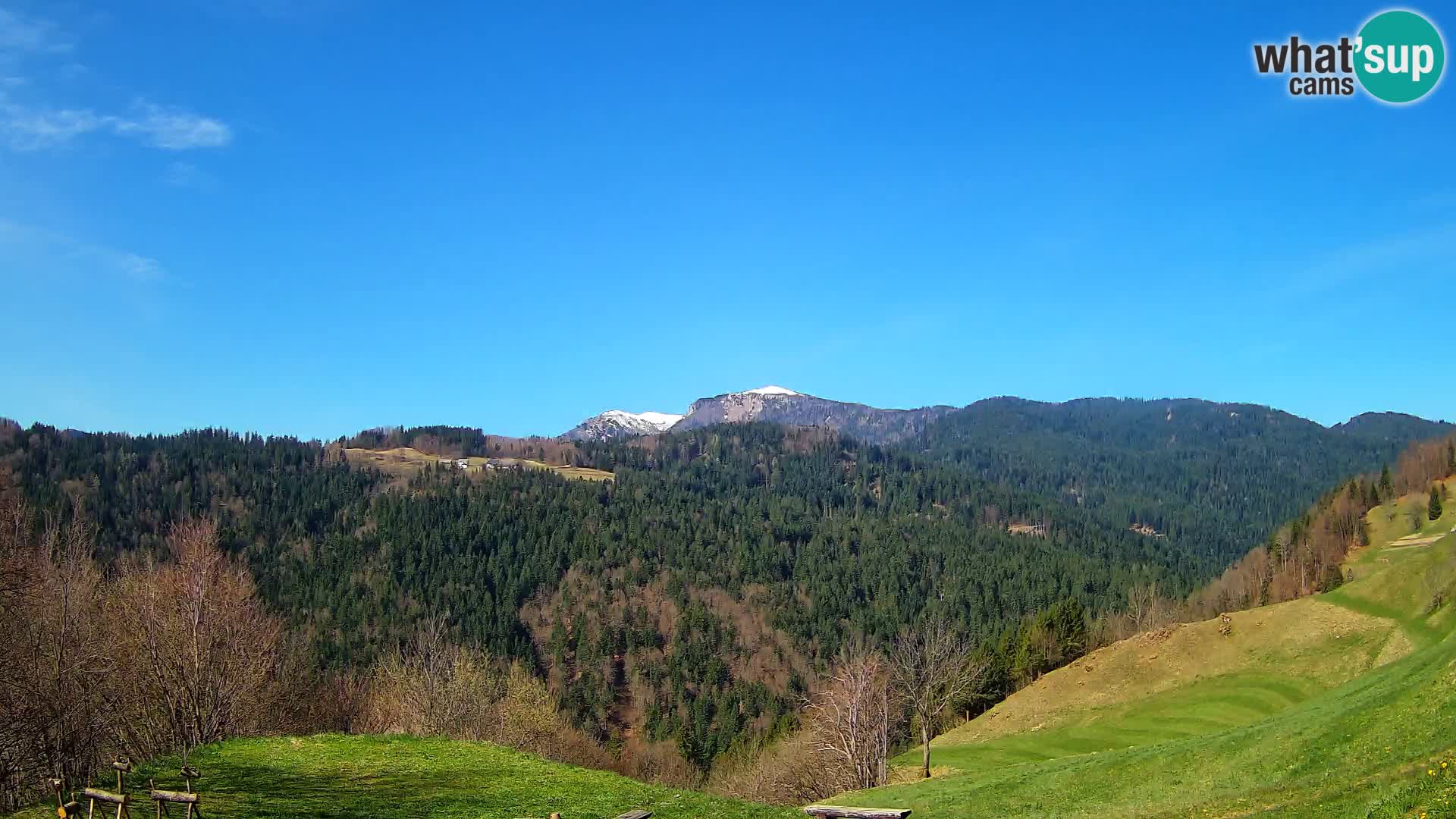 Webcam Brunarica Dražgoše – Live View of Ratitovec (1666 m)