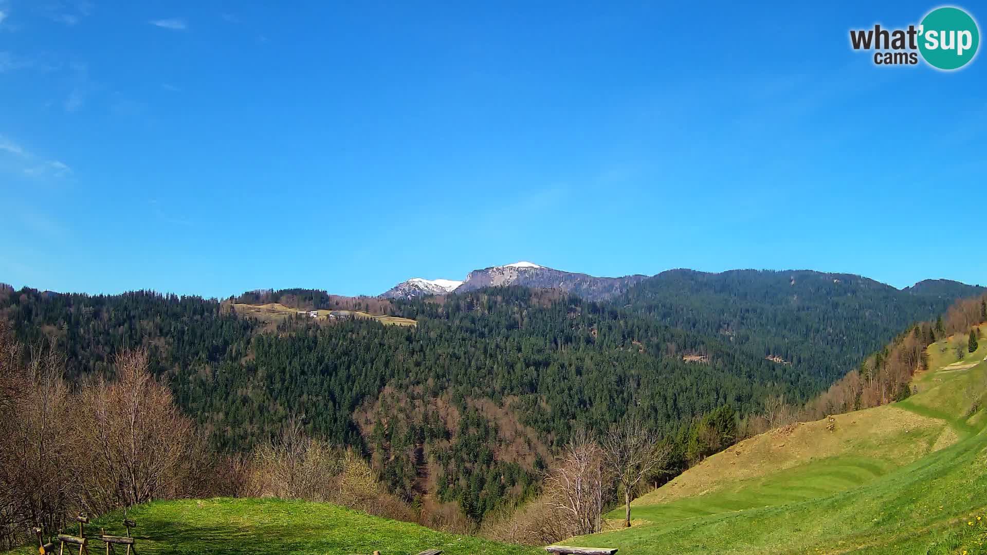 Webcam Brunarica Dražgoše – Live View of Ratitovec (1666 m)