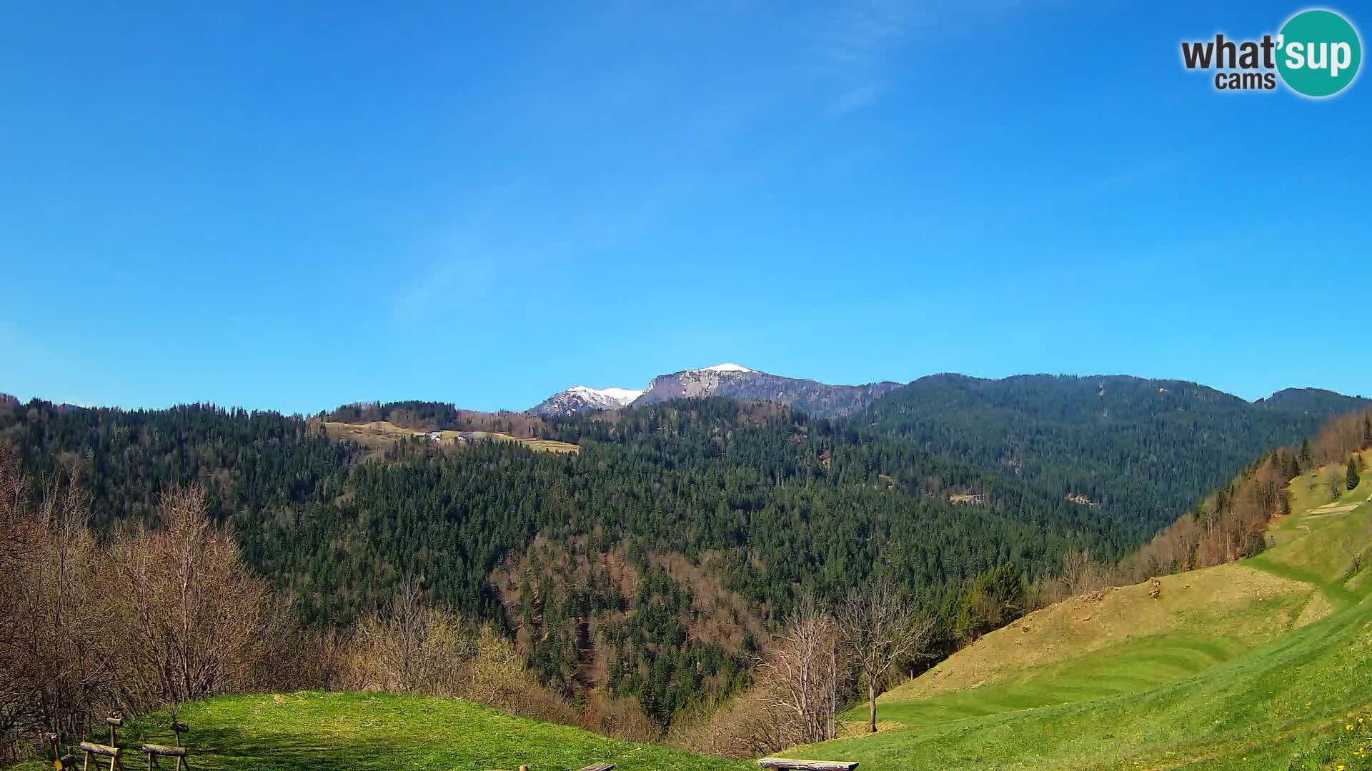 Webcam Brunarica Dražgoše – Live View of Ratitovec (1666 m)