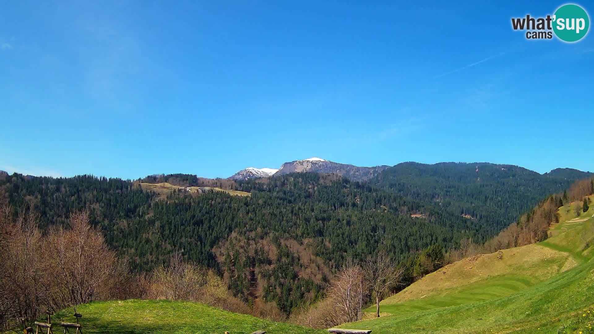 Webcam Brunarica Dražgoše – Live View of Ratitovec (1666 m)