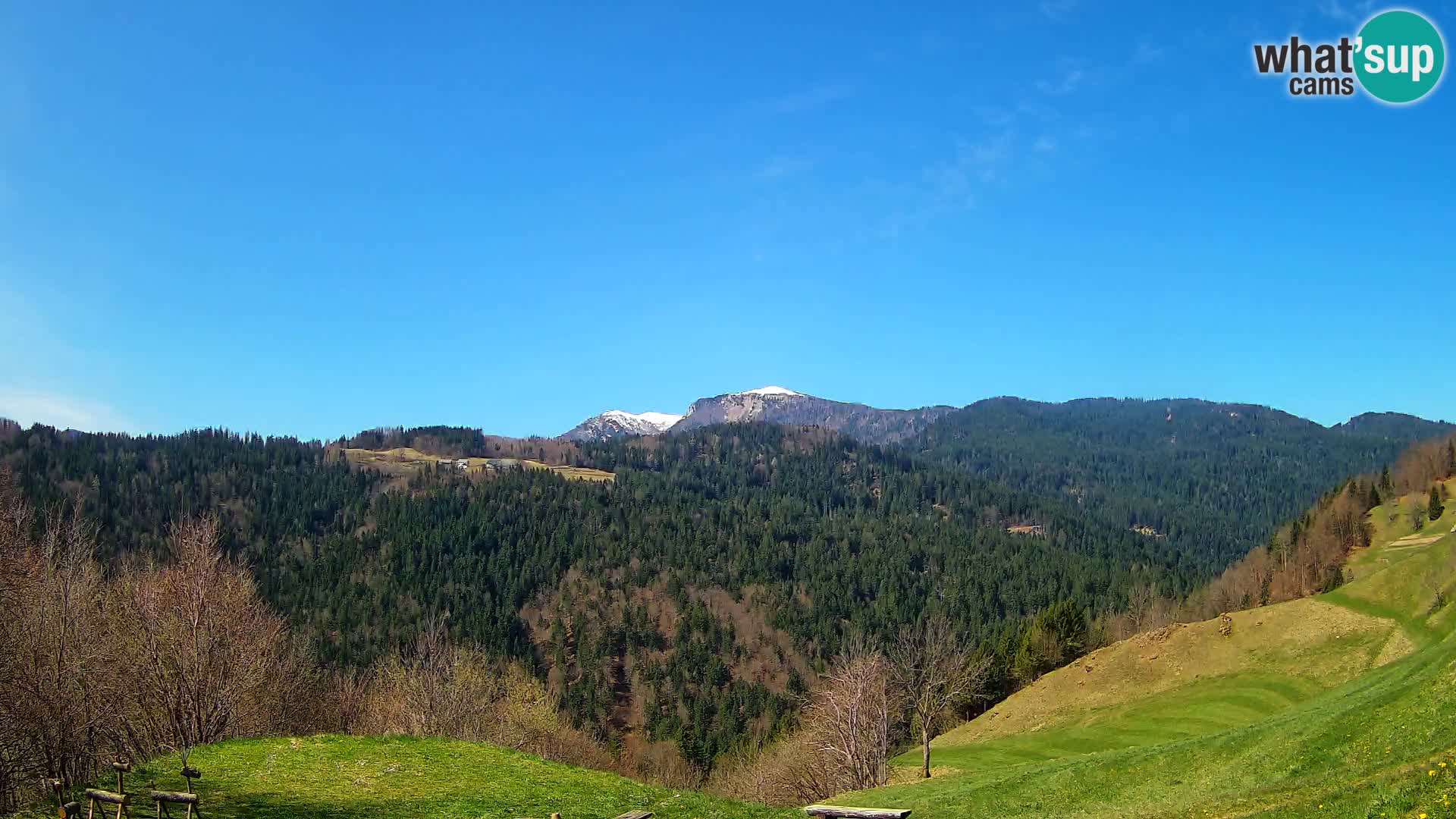 Webcam Brunarica Dražgoše – Live View of Ratitovec (1666 m)