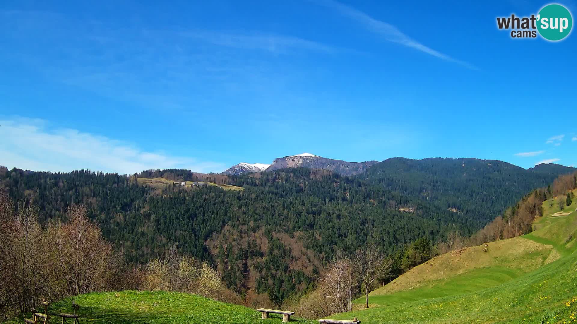 Webcam Brunarica Dražgoše – Live View of Ratitovec (1666 m)