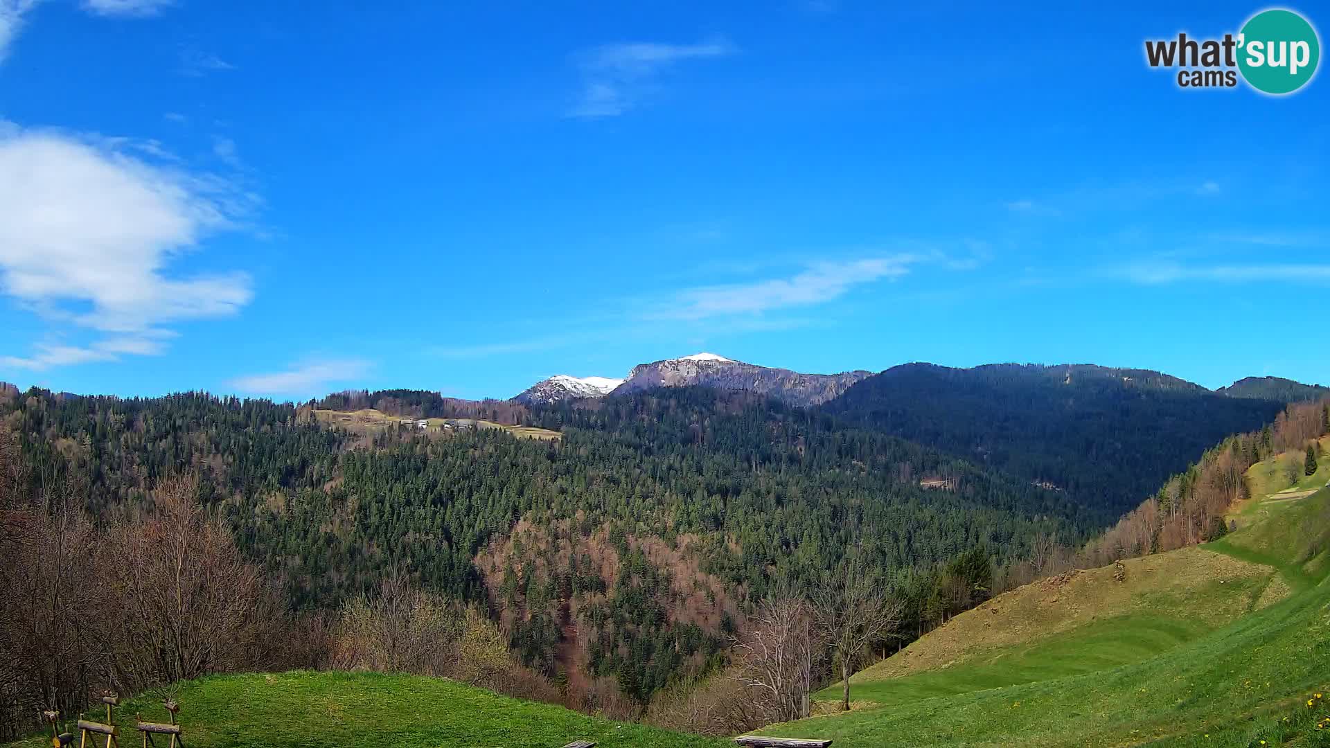 Webcam Brunarica Dražgoše – Live View of Ratitovec (1666 m)