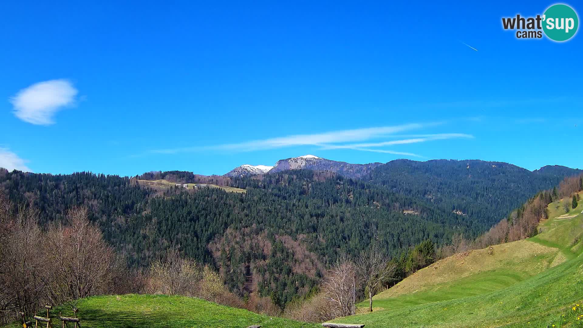 Webcam Brunarica Dražgoše – Live View of Ratitovec (1666 m)