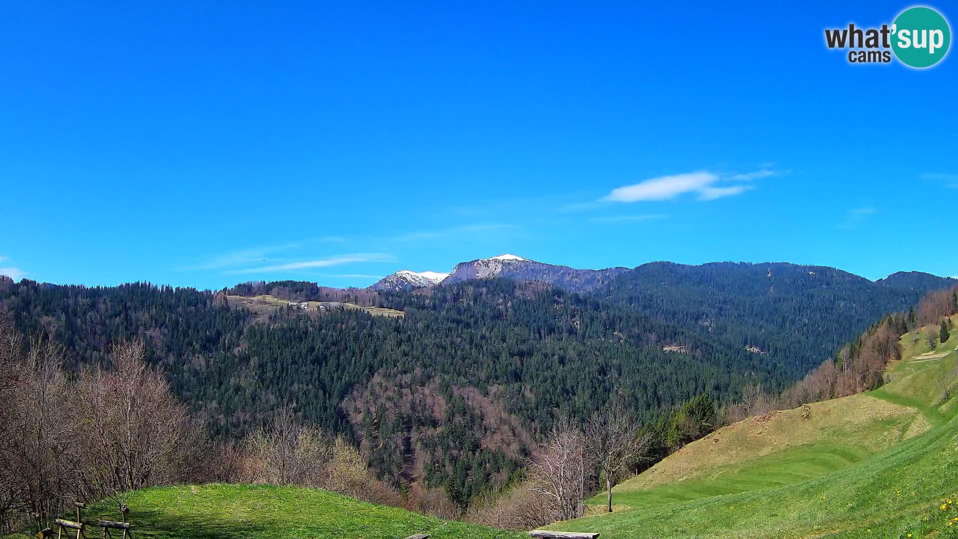 Webcam Brunarica Dražgoše – Vista live sul Ratitovec (1666 m)