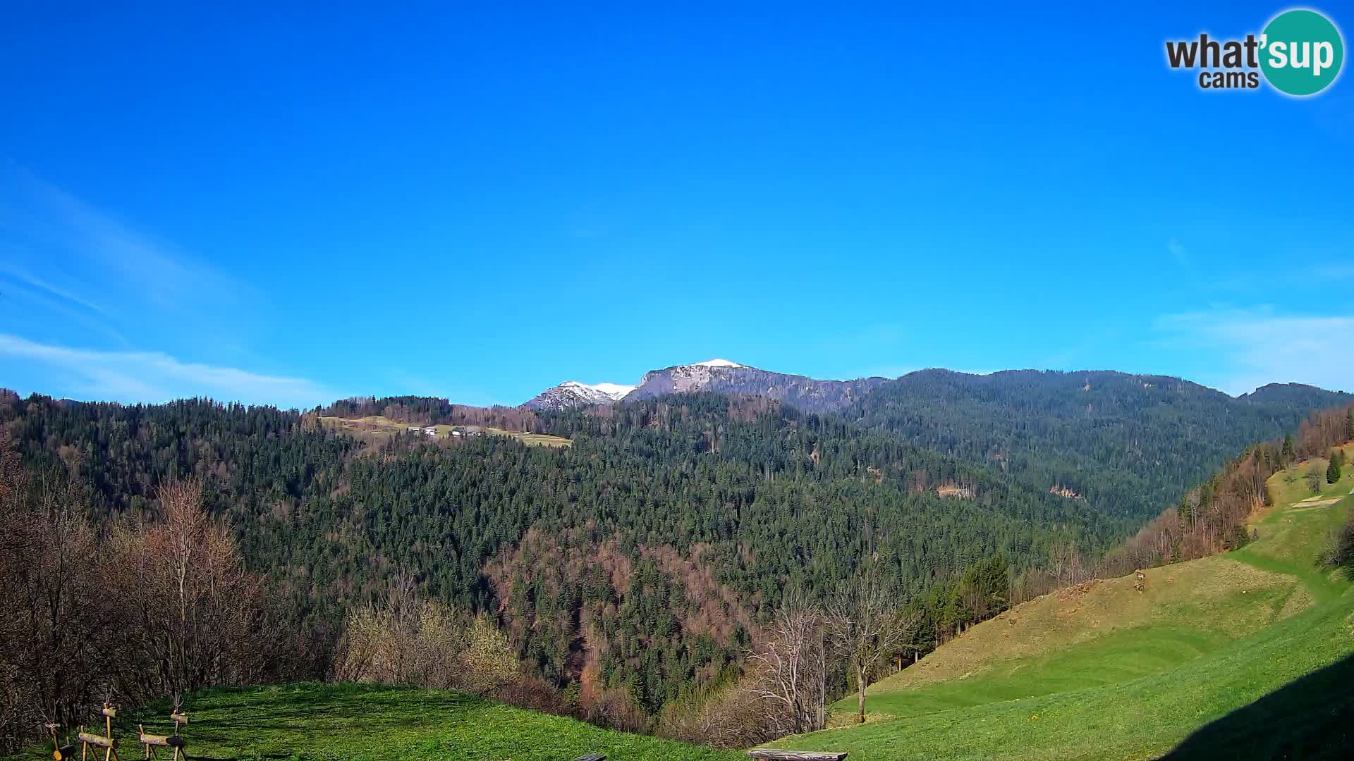 Webcam Brunarica Dražgoše – Vista live sul Ratitovec (1666 m)