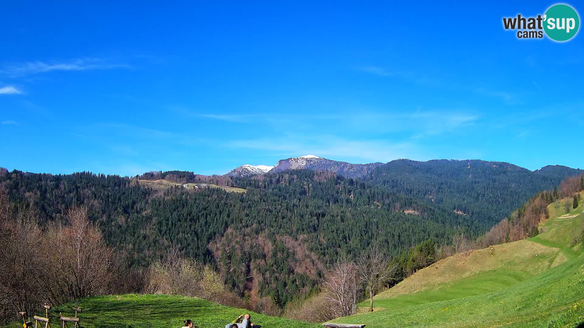 Webcam Brunarica Dražgoše – Live View of Ratitovec (1666 m)