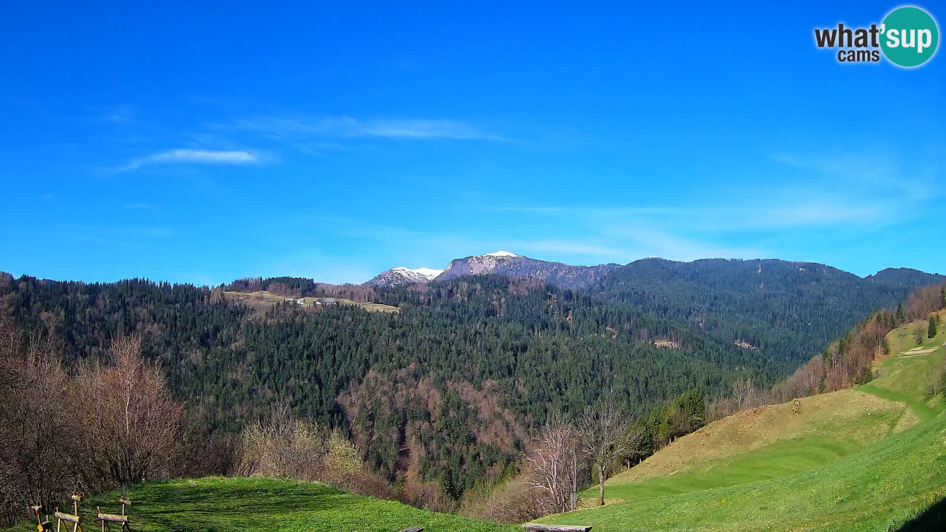 Webcam Brunarica Dražgoše – Vista live sul Ratitovec (1666 m)