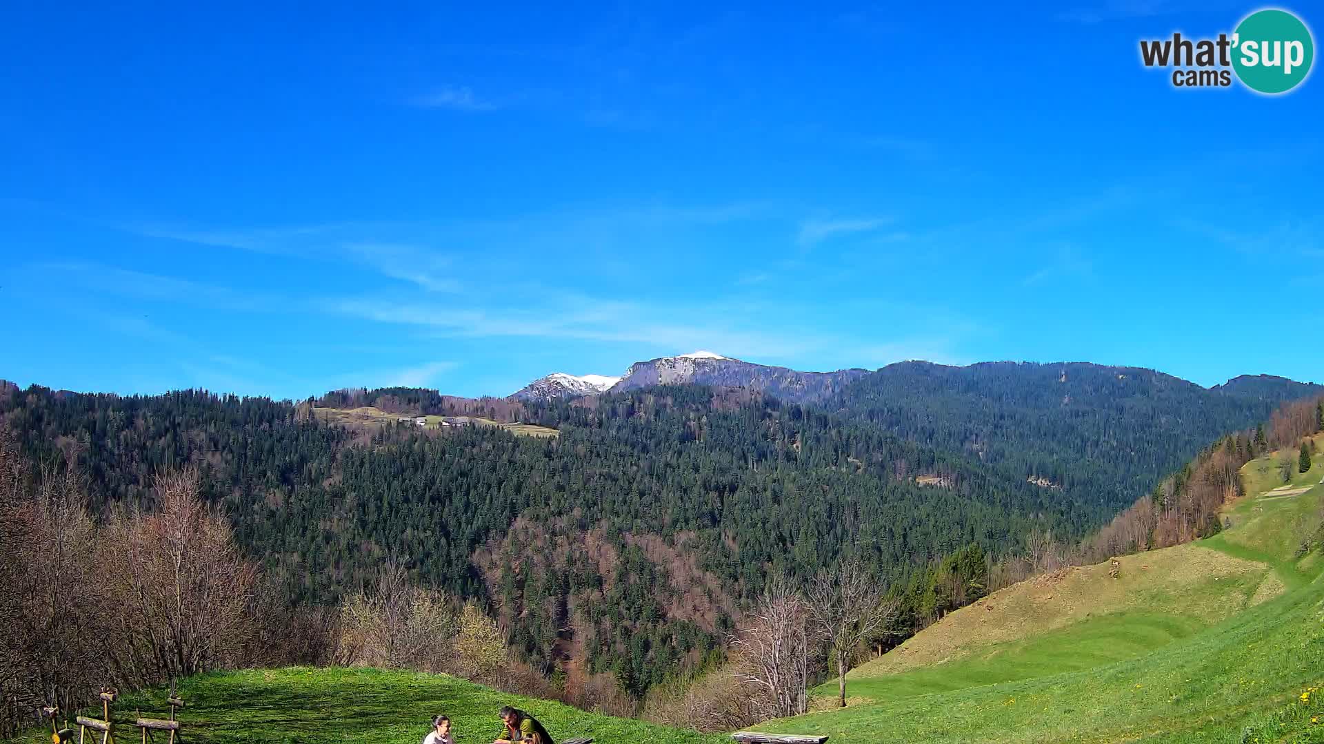 Webcam Brunarica Dražgoše – Live View of Ratitovec (1666 m)