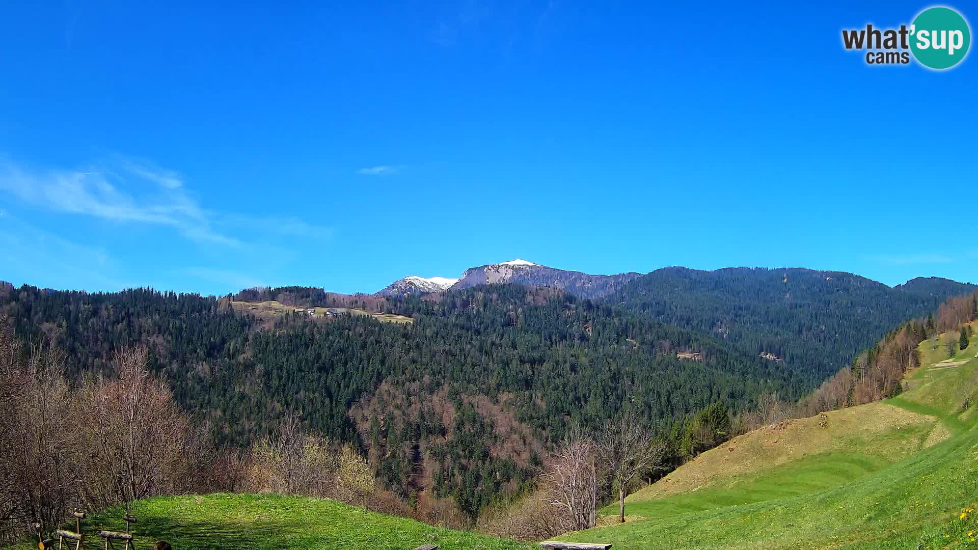 Webcam Brunarica Dražgoše – Liveblick auf Ratitovec (1666 m)