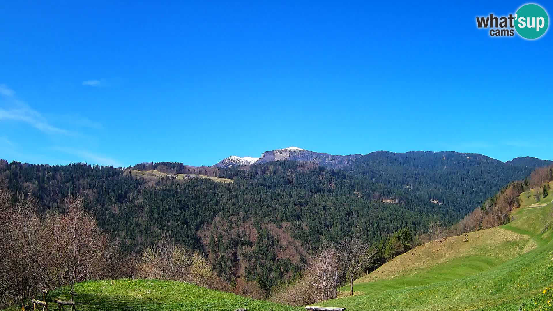 Webcam Brunarica Dražgoše – Liveblick auf Ratitovec (1666 m)