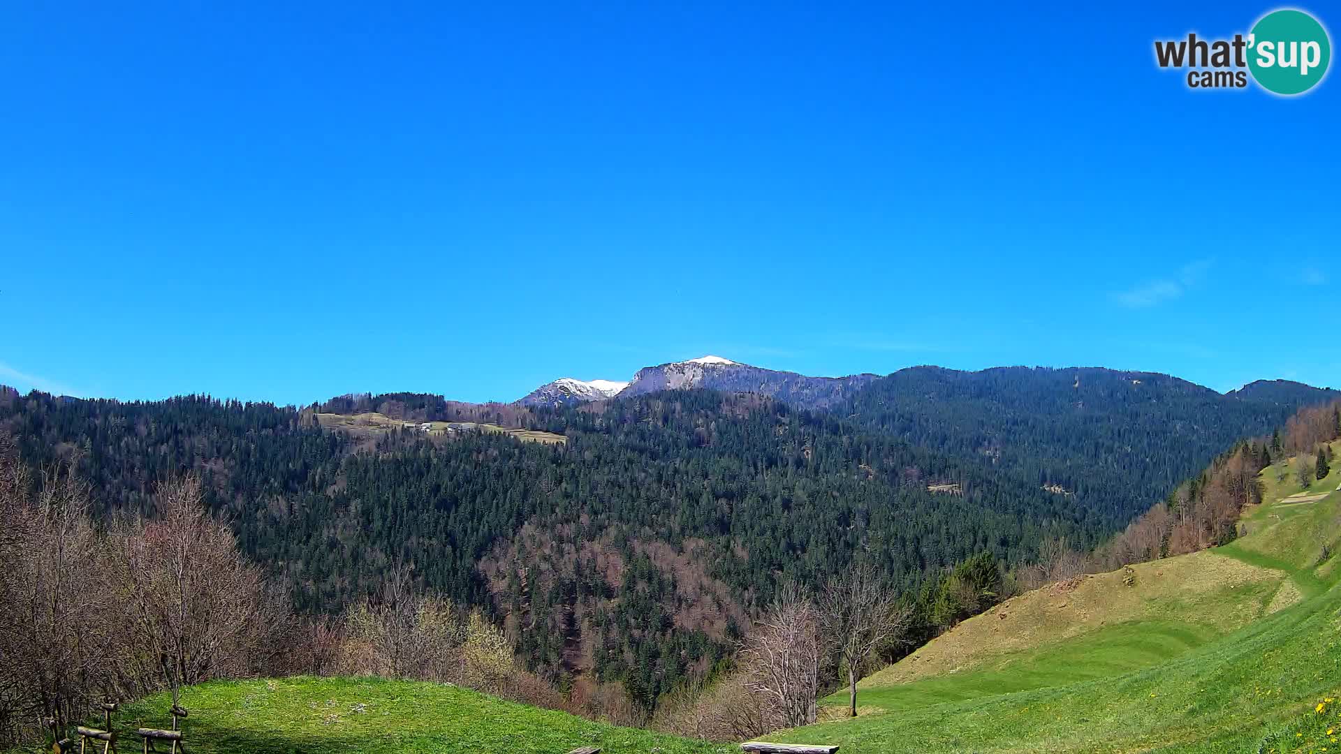 Webcam Brunarica Dražgoše – Live View of Ratitovec (1666 m)