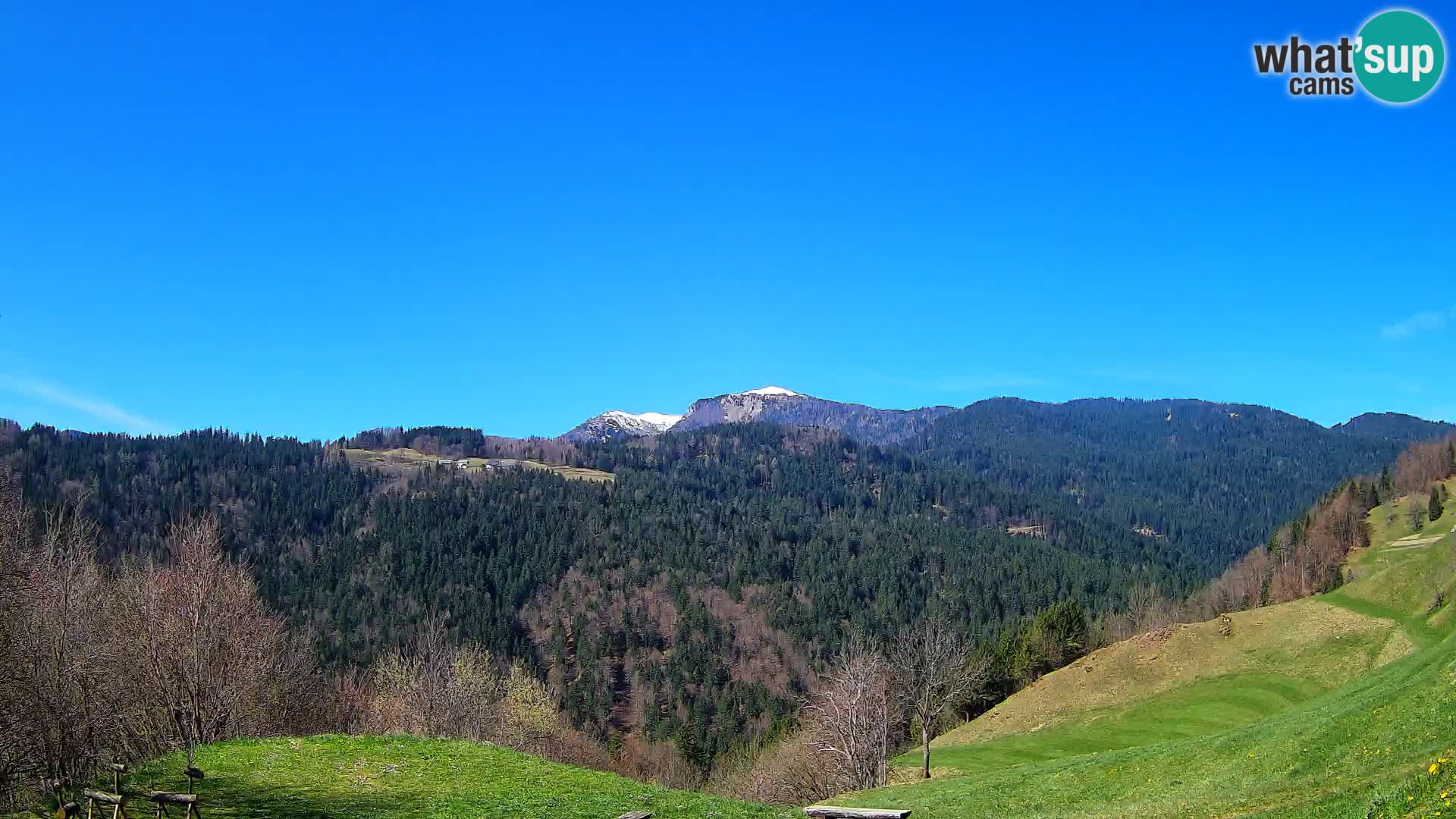 Spletna kamera Brunarica Dražgoše – Pogled v živo na Ratitovec (1666 m)