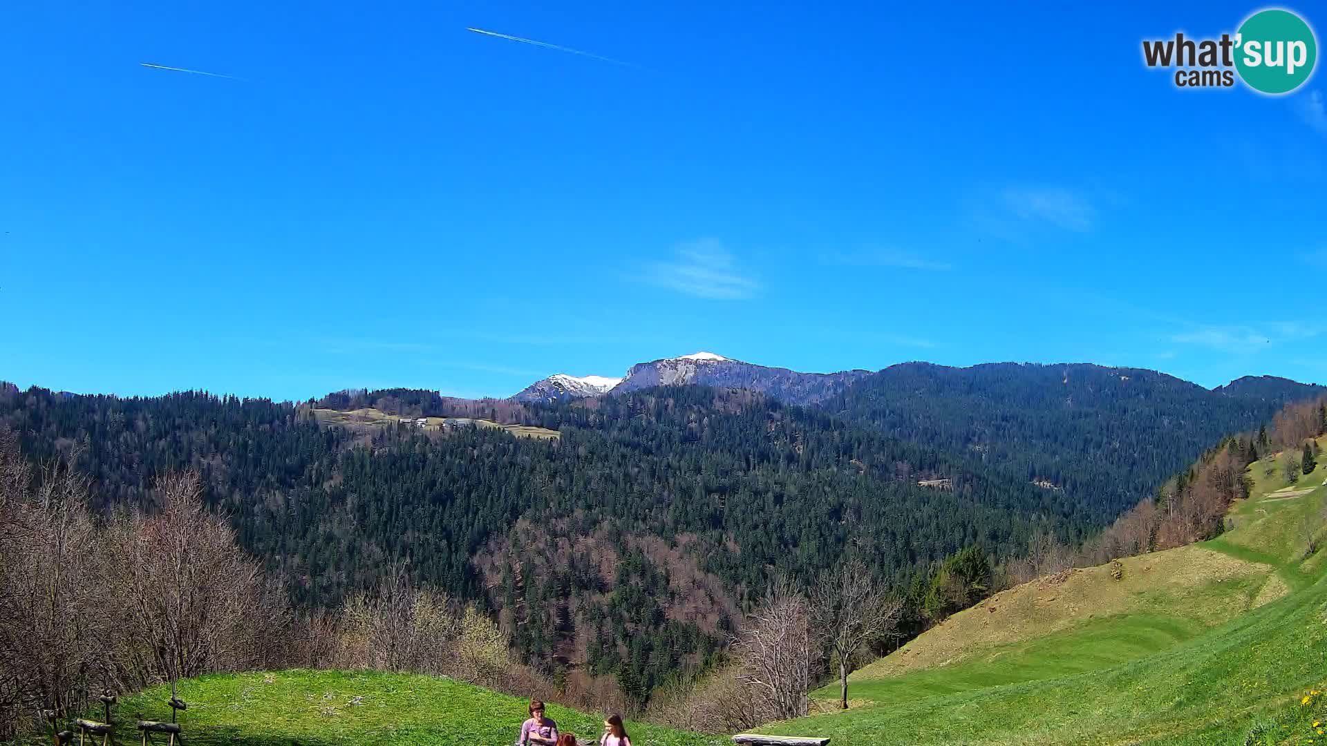 Webcam Brunarica Dražgoše – Live View of Ratitovec (1666 m)