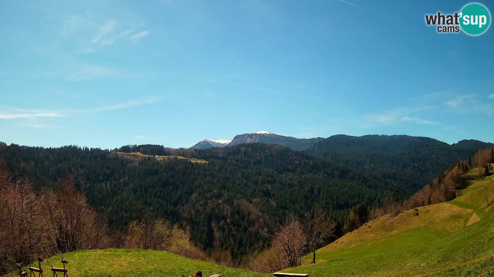 Webcam Brunarica Dražgoše – Live View of Ratitovec (1666 m)