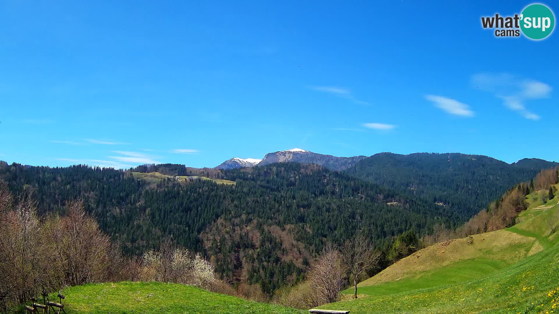 Webcam Brunarica Dražgoše – Vista live sul Ratitovec (1666 m)