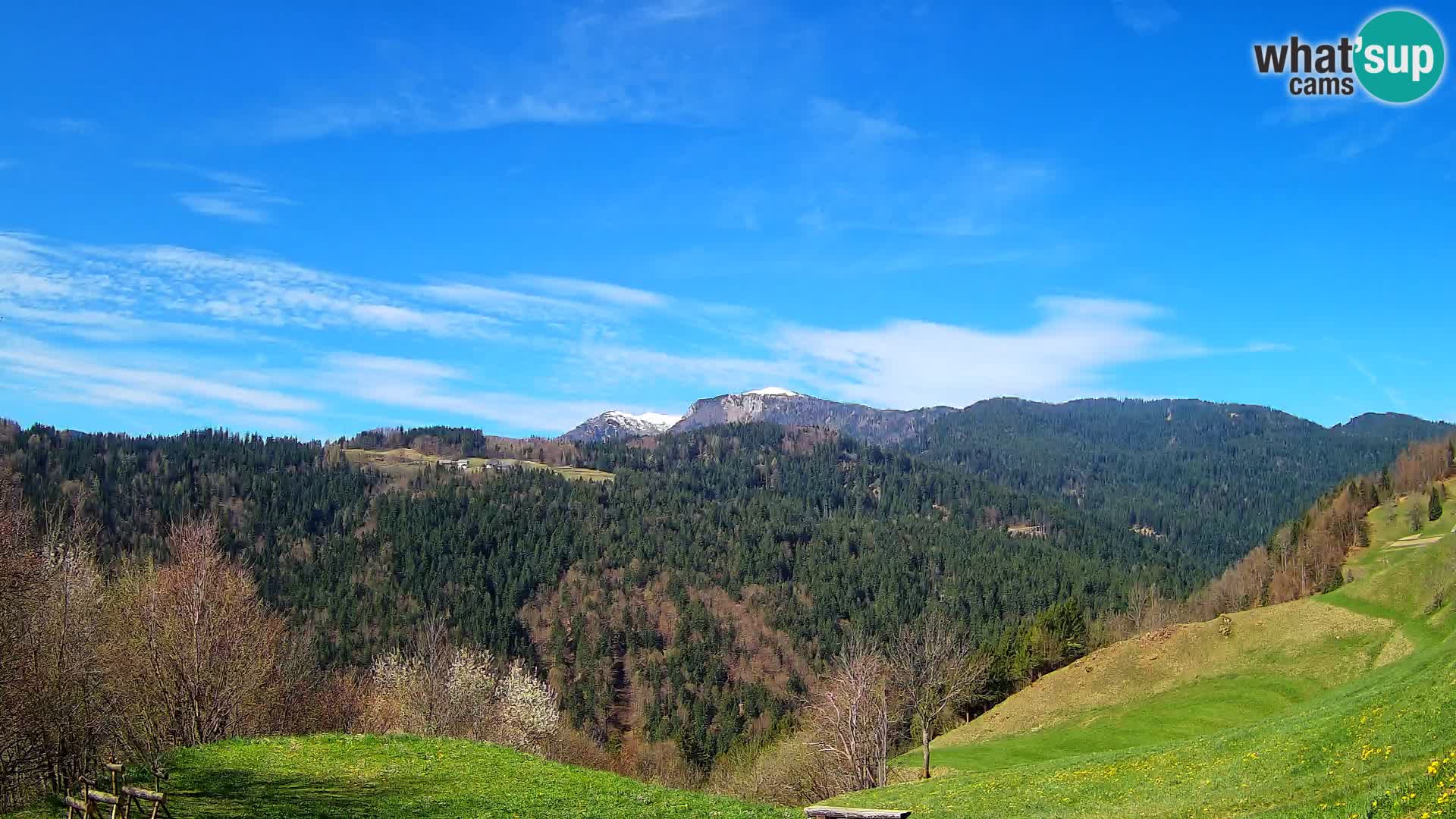 Webcam Brunarica Dražgoše – Live View of Ratitovec (1666 m)