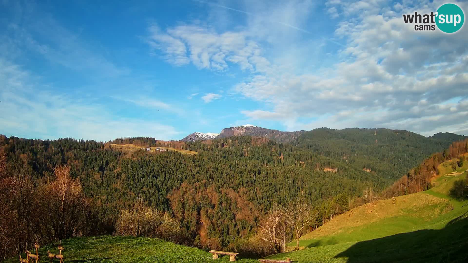 Webcam Brunarica Dražgoše – Live View of Ratitovec (1666 m)