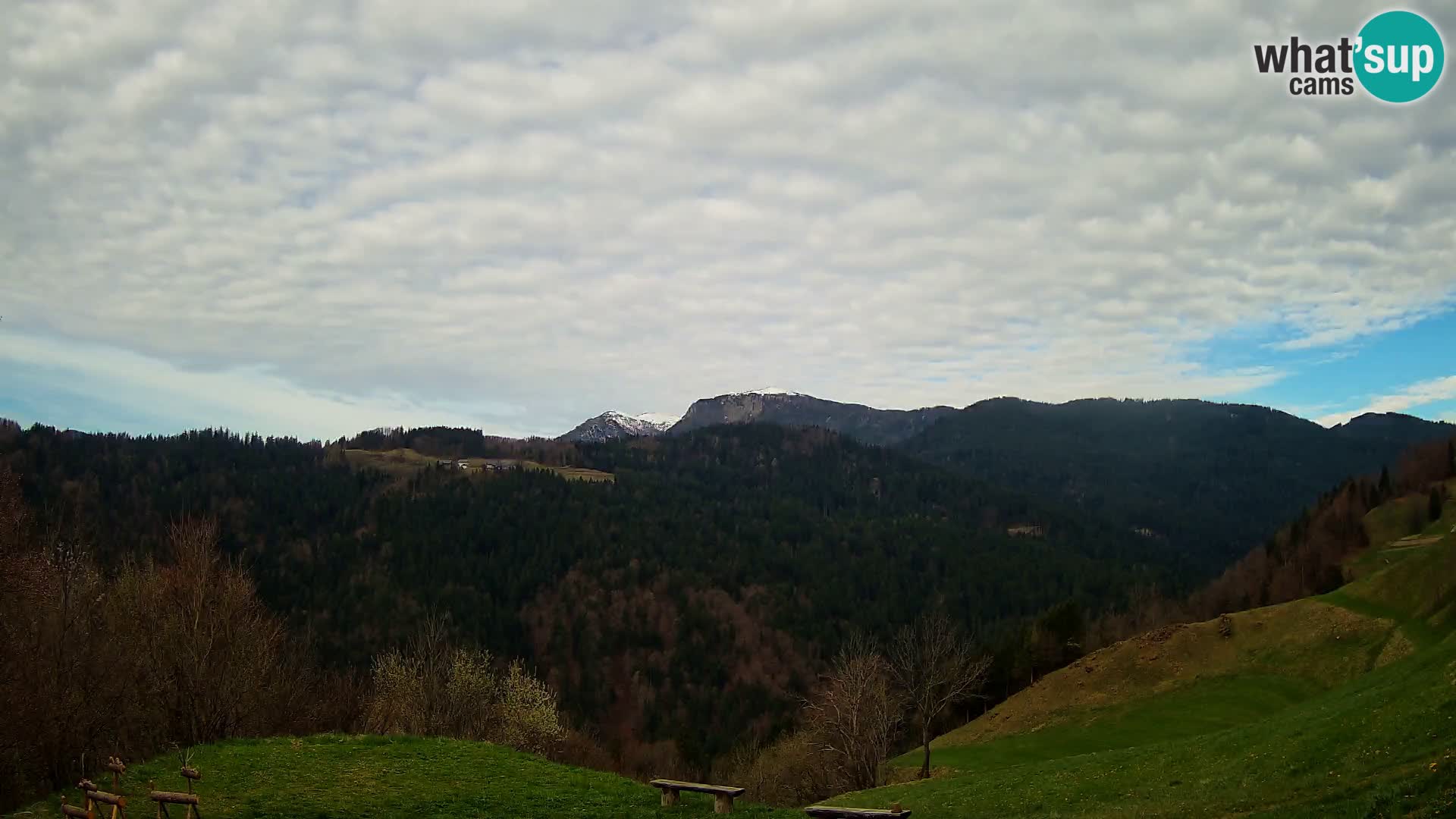 Webcam Brunarica Dražgoše – Live View of Ratitovec (1666 m)