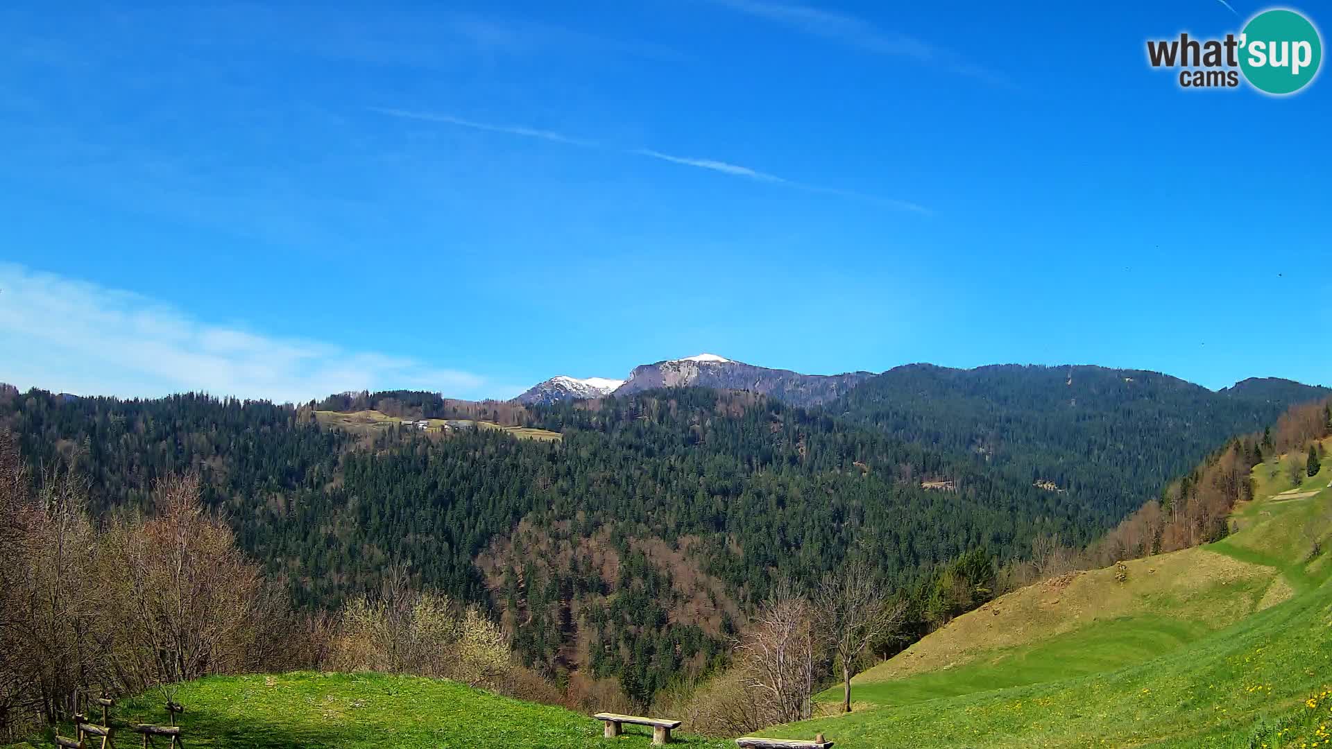 Webcam Brunarica Dražgoše – Live View of Ratitovec (1666 m)