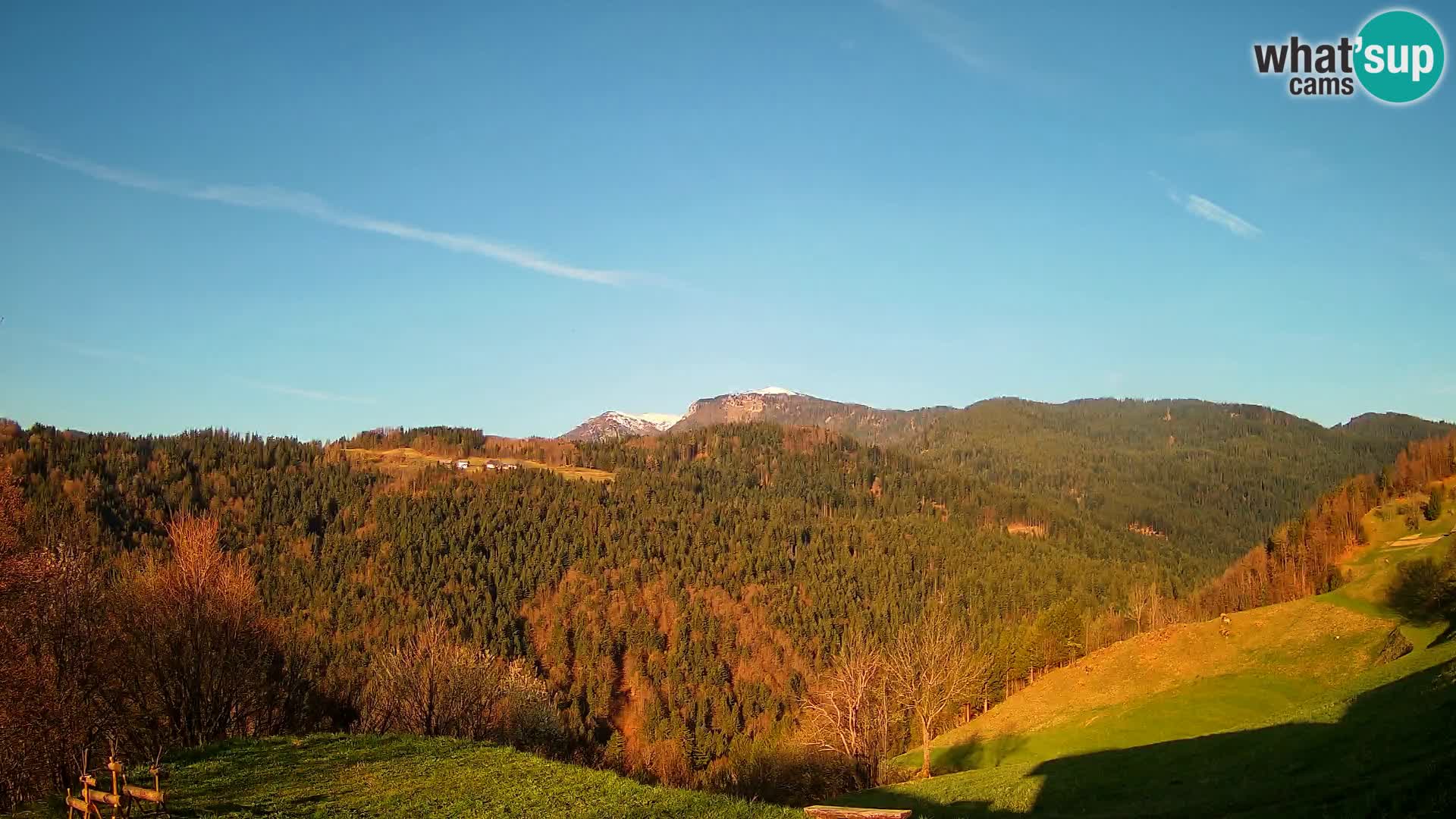 Webcam Brunarica Dražgoše – Vista live sul Ratitovec (1666 m)