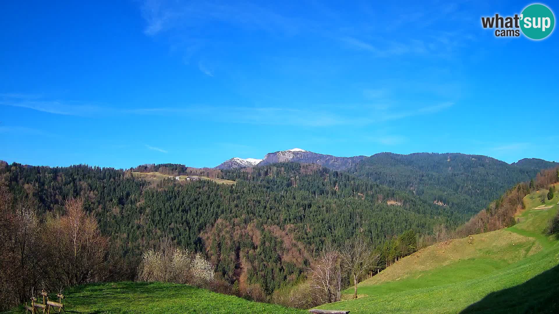 Webcam Brunarica Dražgoše – Live View of Ratitovec (1666 m)