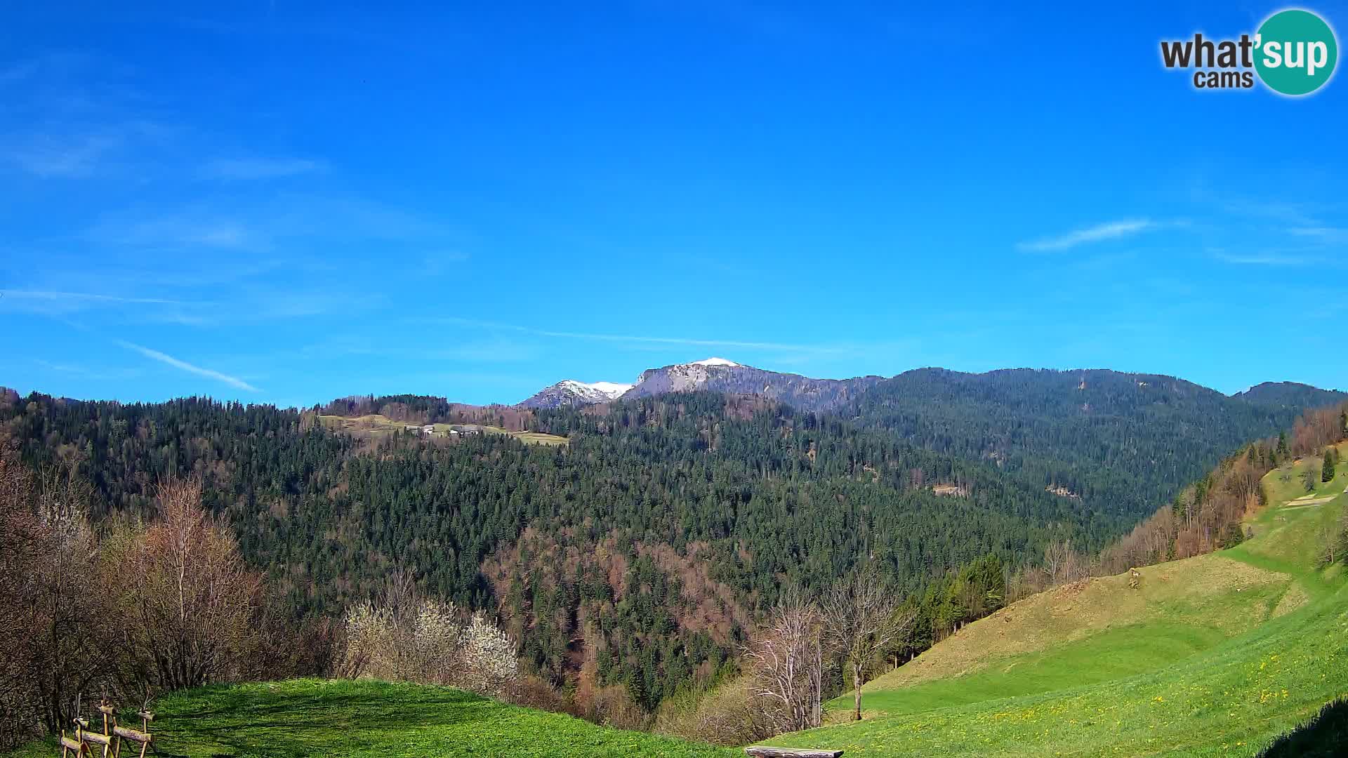 Spletna kamera Brunarica Dražgoše – Pogled v živo na Ratitovec (1666 m)