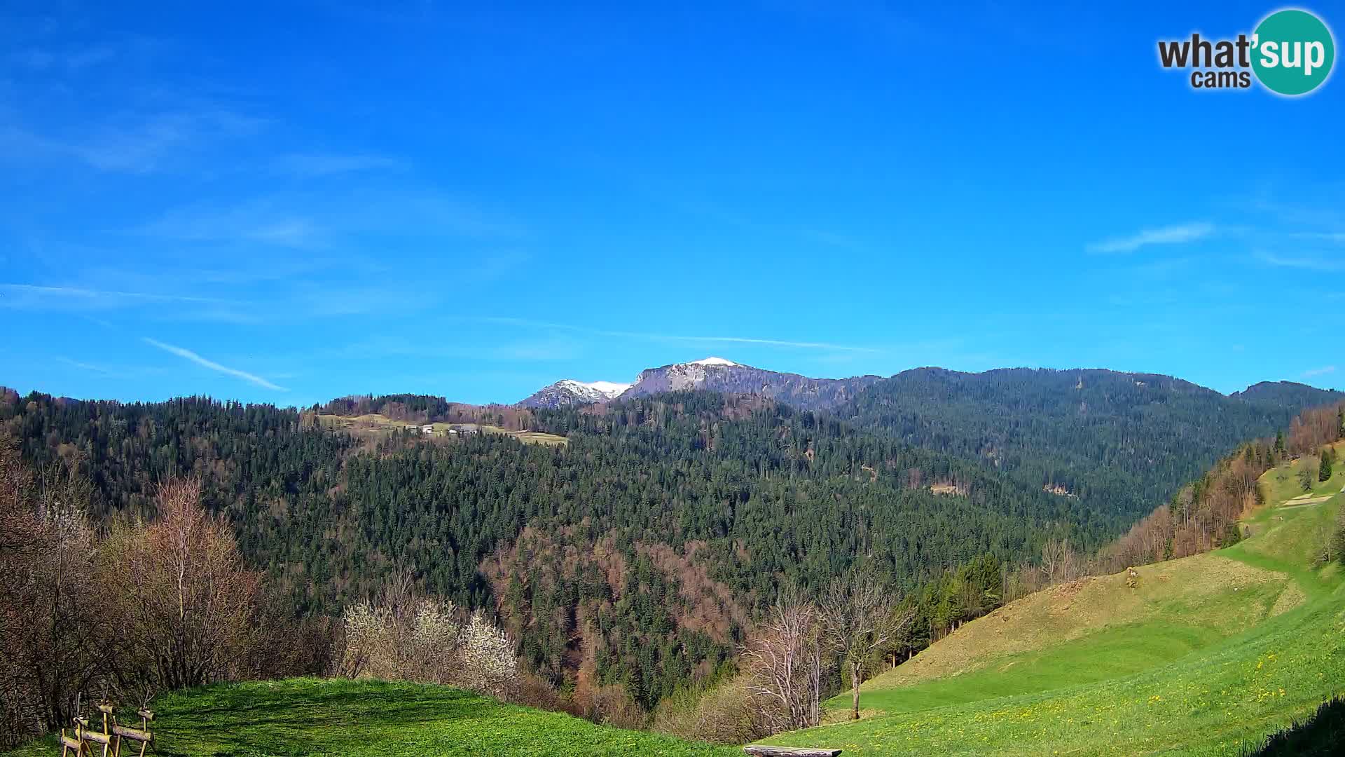 Webcam Brunarica Dražgoše – Vista live sul Ratitovec (1666 m)