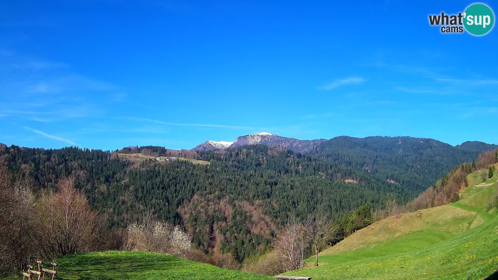 Web kamera Brunarica Dražgoše – Pogled uživo na Ratitovec (1666 m)
