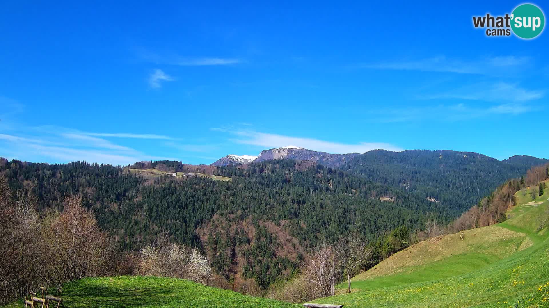 Webcam Brunarica Dražgoše – Live View of Ratitovec (1666 m)