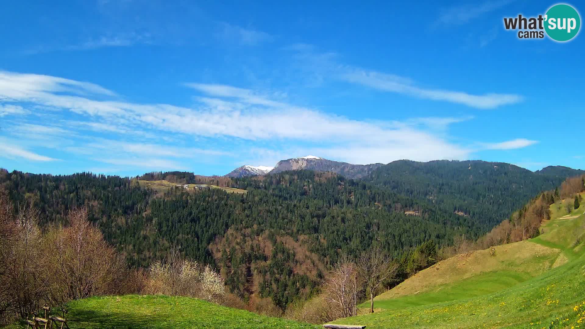 Webcam Brunarica Dražgoše – Live View of Ratitovec (1666 m)