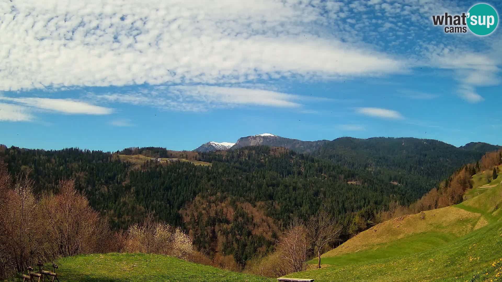 Webcam Brunarica Dražgoše – Live View of Ratitovec (1666 m)