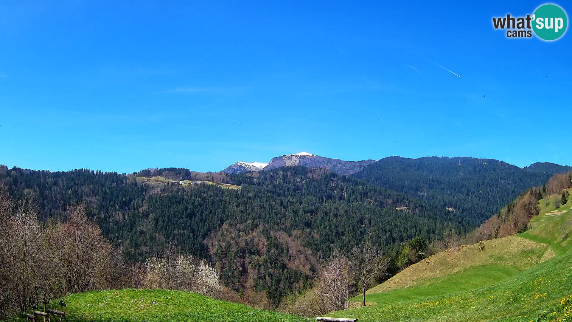 Webcam Brunarica Dražgoše – Live View of Ratitovec (1666 m)