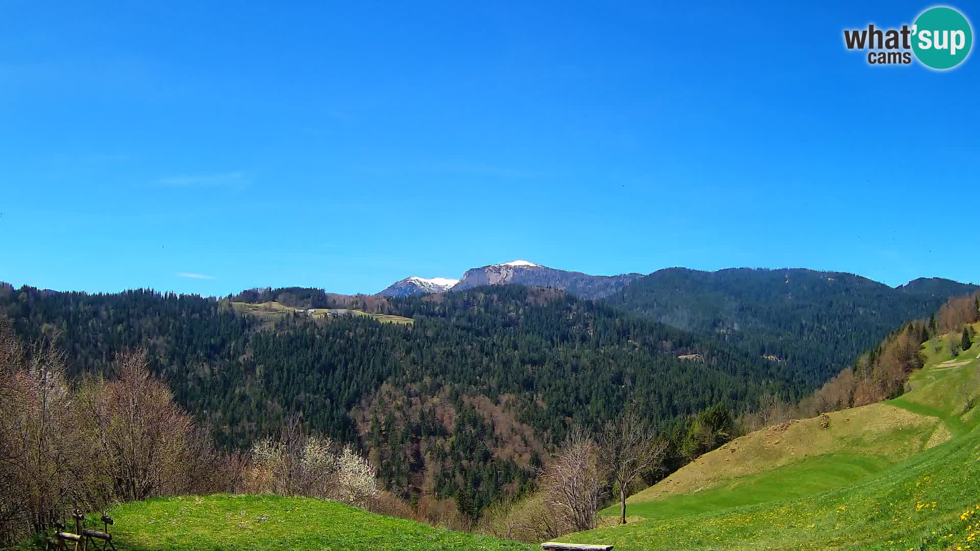 Webcam Brunarica Dražgoše – Live View of Ratitovec (1666 m)