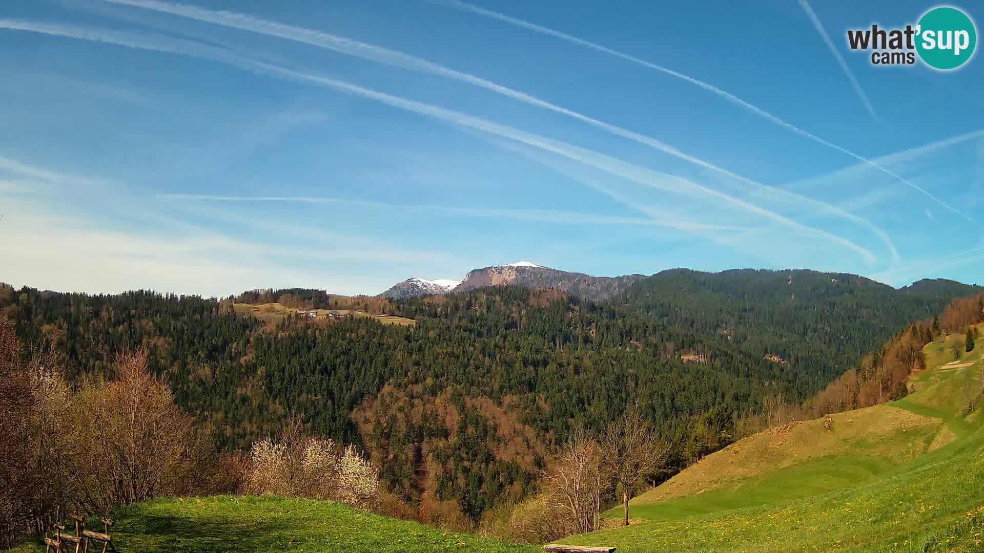 Webcam Brunarica Dražgoše – Live View of Ratitovec (1666 m)