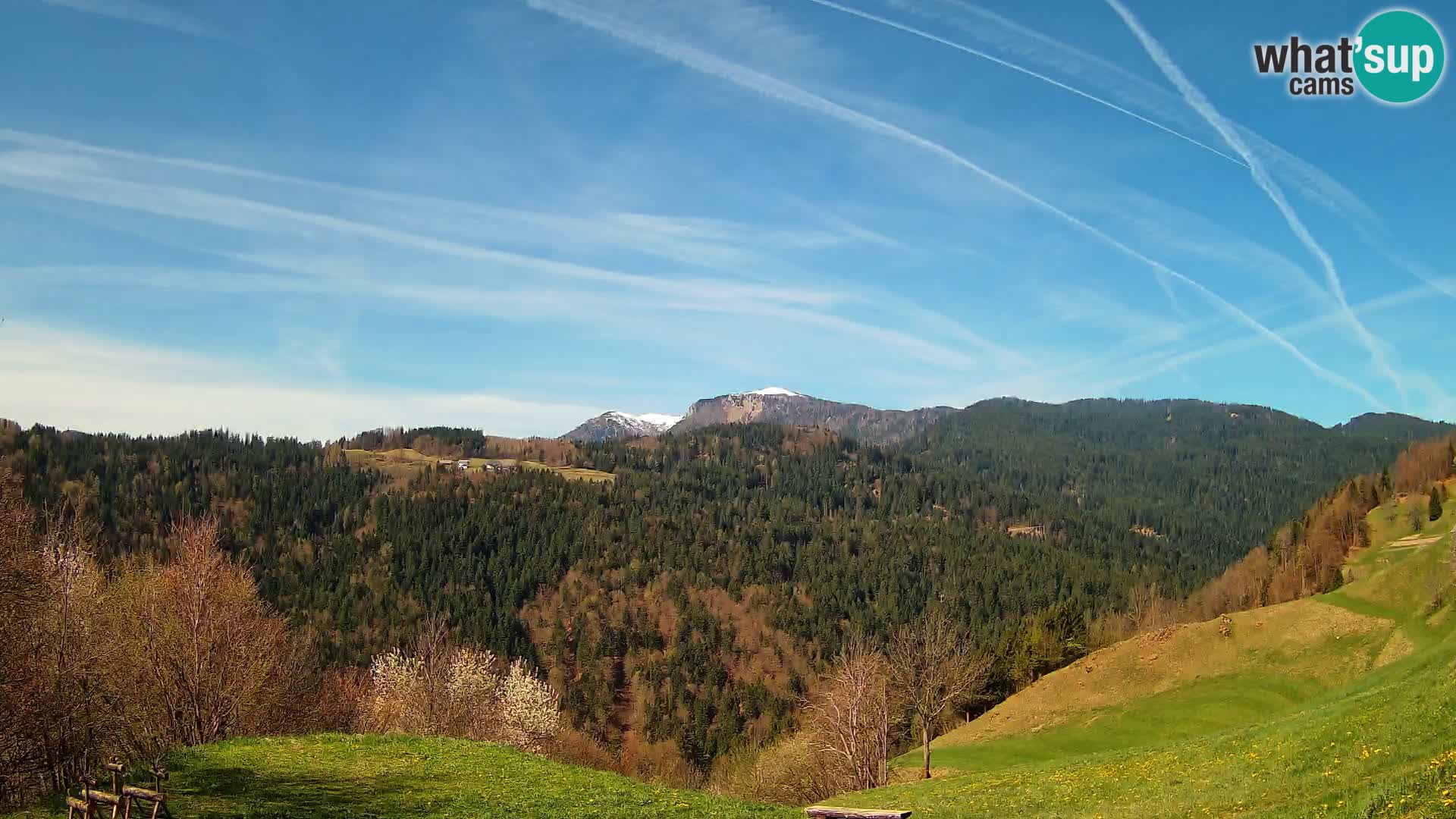 Web kamera Brunarica Dražgoše – Pogled uživo na Ratitovec (1666 m)