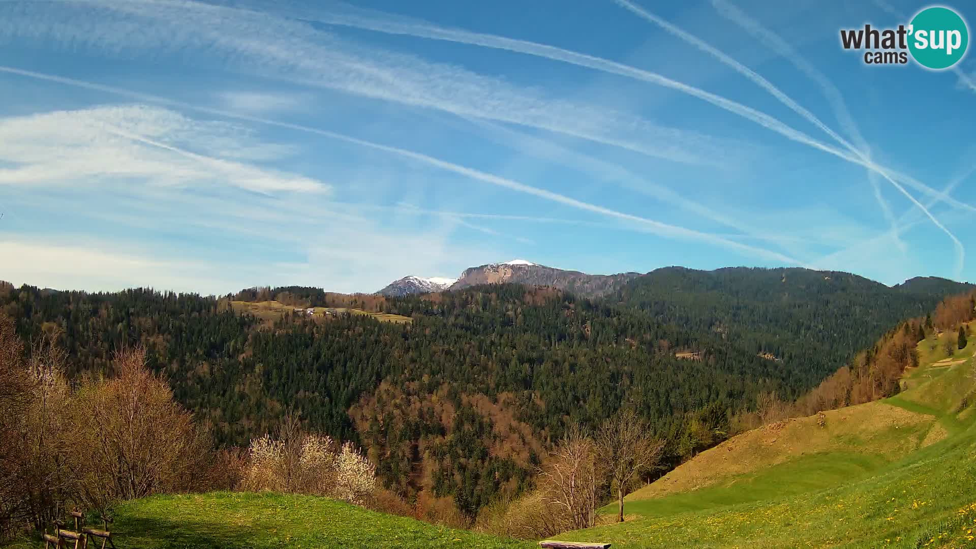 Webcam Brunarica Dražgoše – Live View of Ratitovec (1666 m)