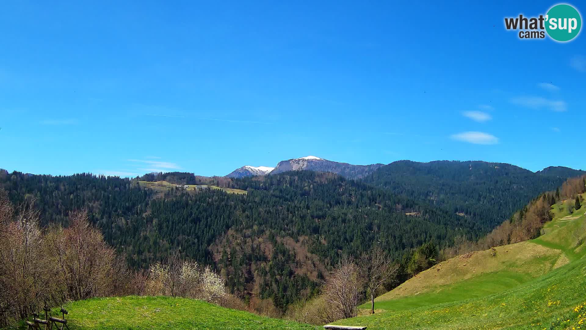 Webcam Brunarica Dražgoše – Liveblick auf Ratitovec (1666 m)