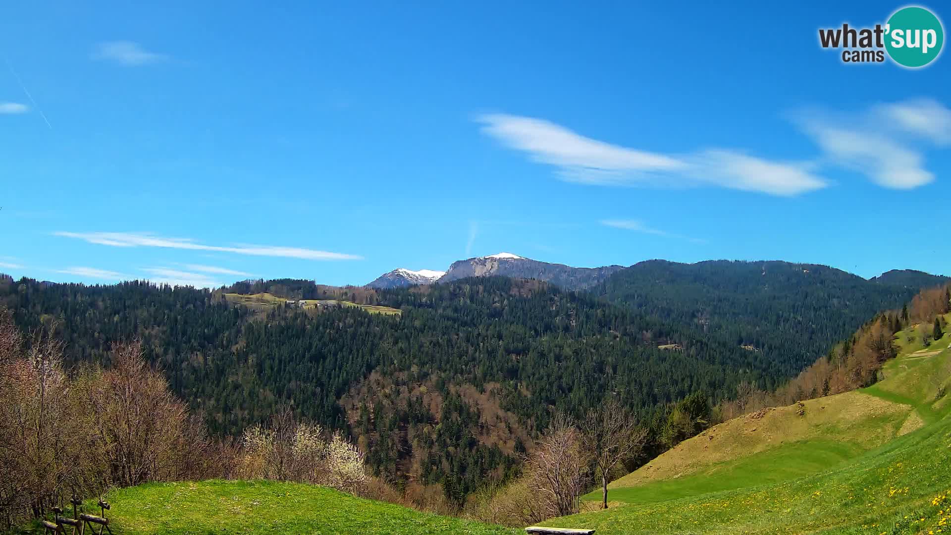 Webcam Brunarica Dražgoše – Live View of Ratitovec (1666 m)