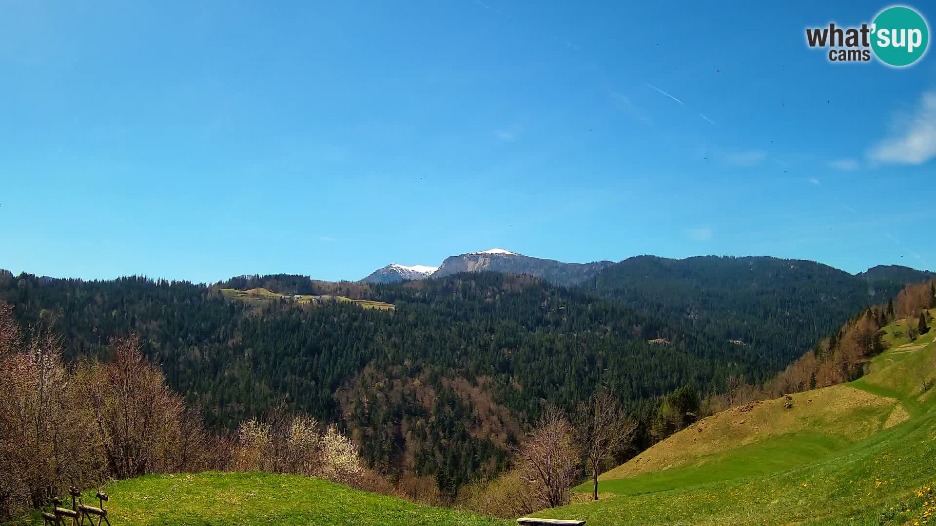 Webcam Brunarica Dražgoše – Live View of Ratitovec (1666 m)