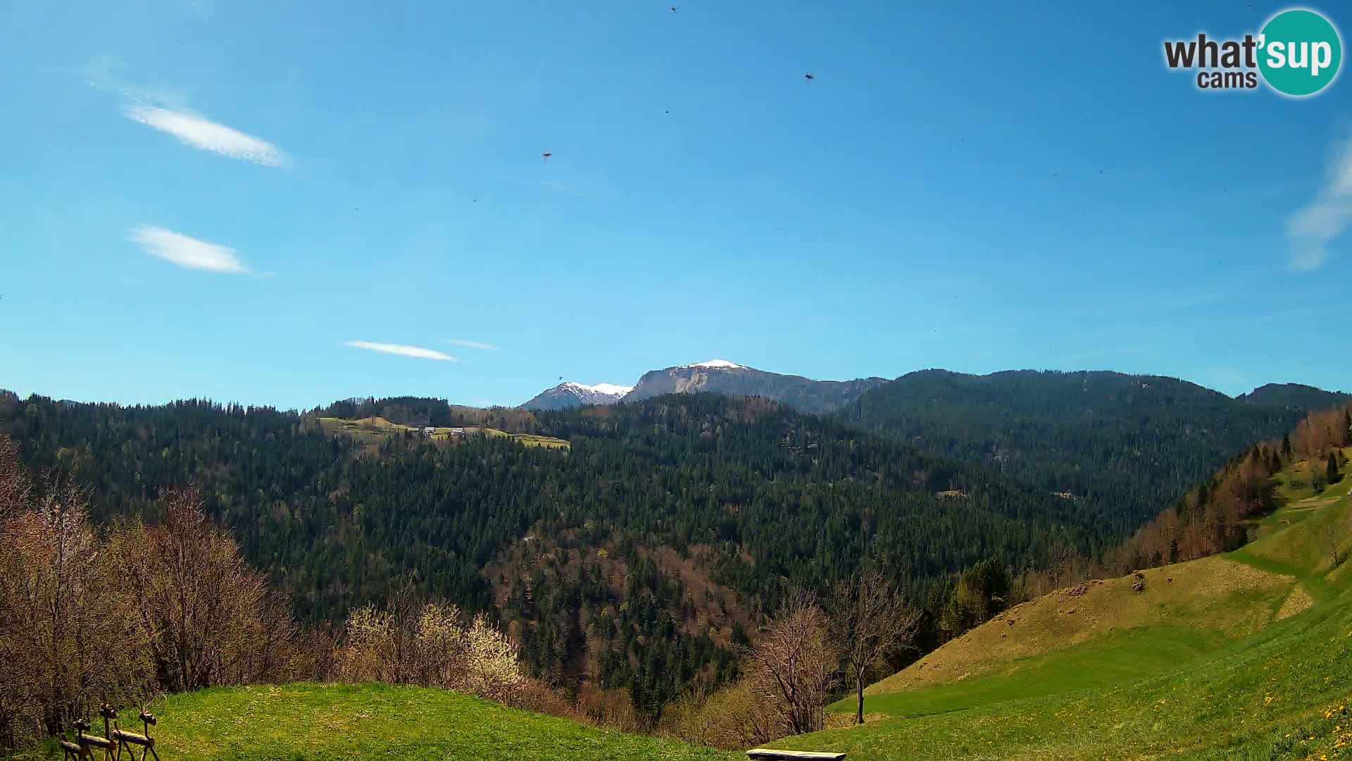 Webcam Brunarica Dražgoše – Liveblick auf Ratitovec (1666 m)