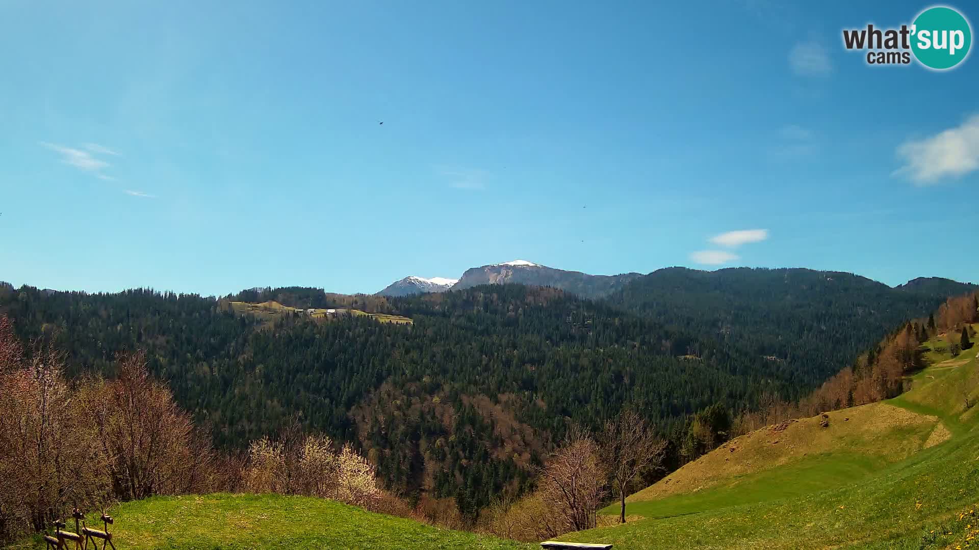 Webcam Brunarica Dražgoše – Liveblick auf Ratitovec (1666 m)