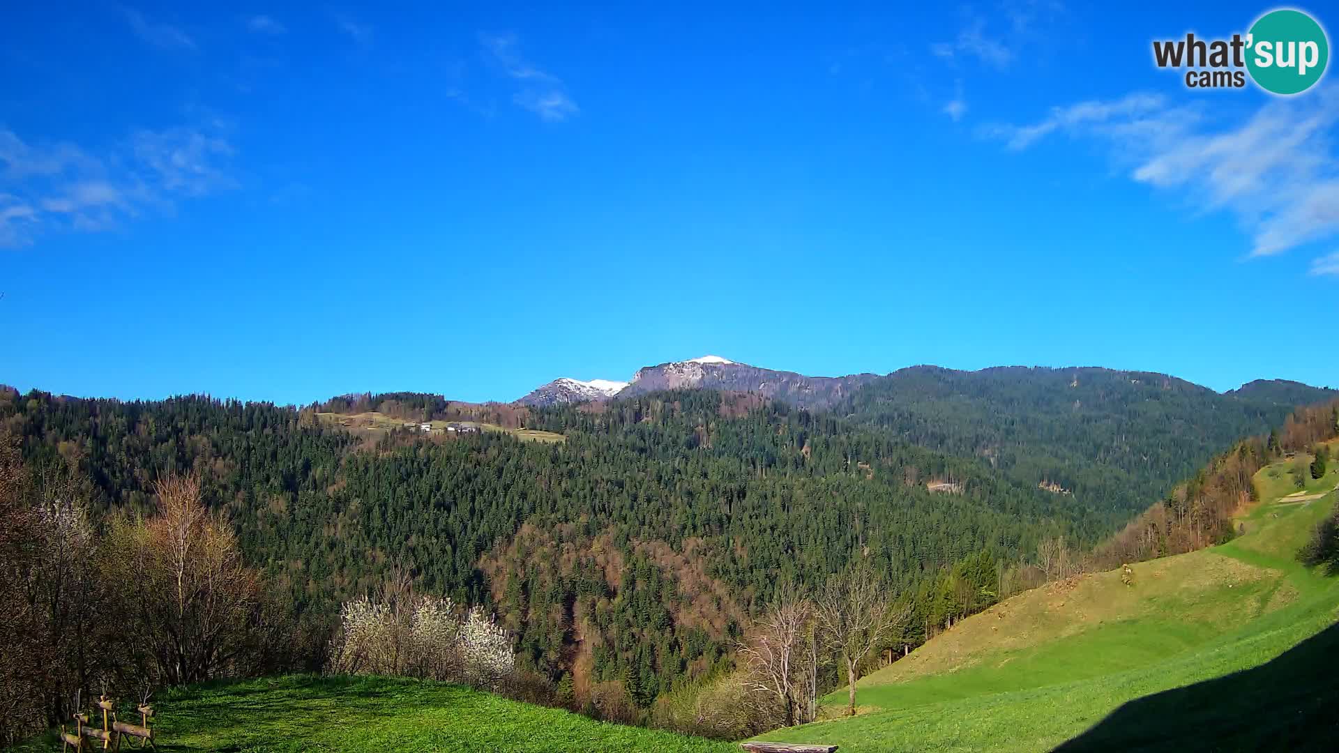 Webcam Brunarica Dražgoše – Liveblick auf Ratitovec (1666 m)