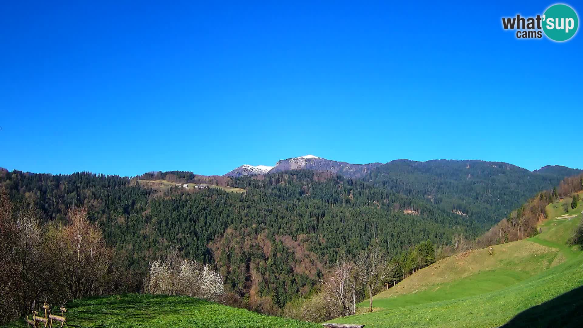 Webcam Brunarica Dražgoše – Vista live sul Ratitovec (1666 m)