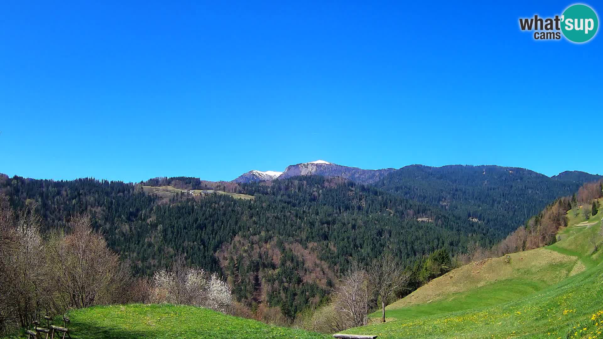 Web kamera Brunarica Dražgoše – Pogled uživo na Ratitovec (1666 m)