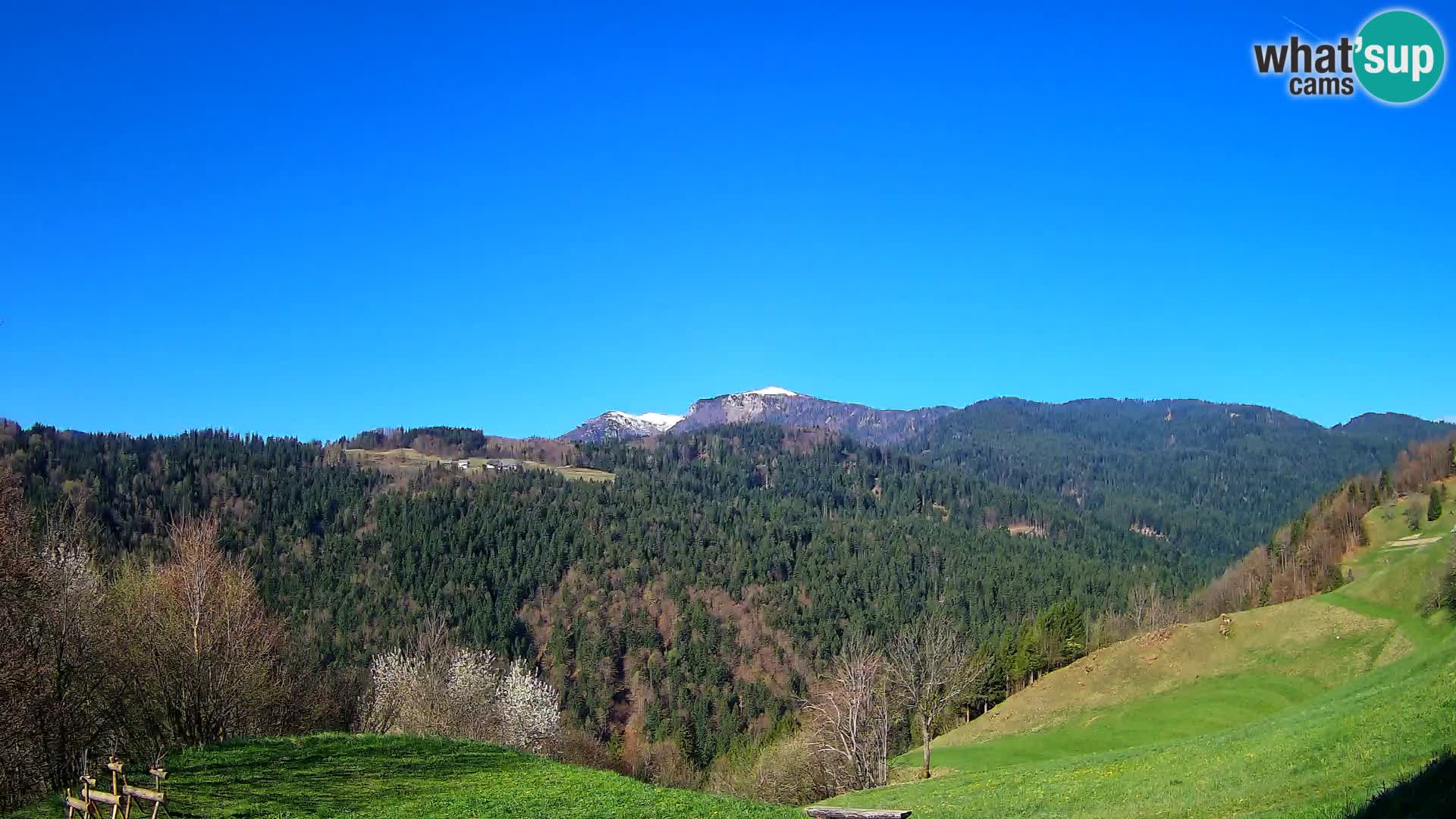 Webcam Brunarica Dražgoše – Live View of Ratitovec (1666 m)